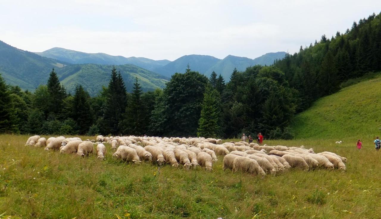 Chata Podolina Terchová Esterno foto