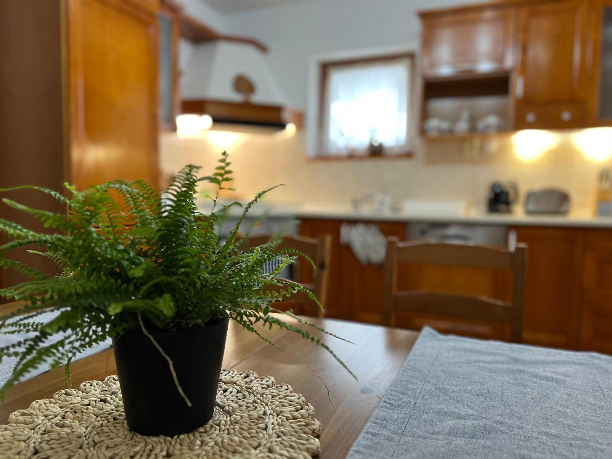 Chata Podolina Terchová Esterno foto